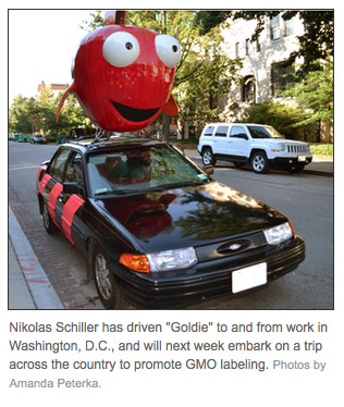 DCist: For Sale: One Car And Its 250-Pound Ear Of ‘Fishy Corn'